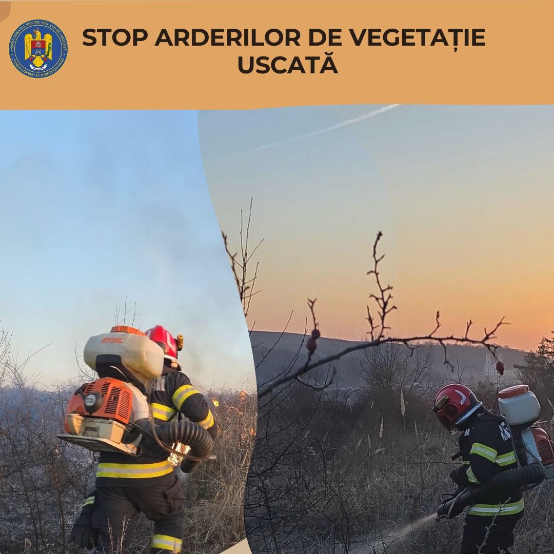 Pompierii din Arad au stins 36 de incendii de vegetație în primele două săptămâni din martie.